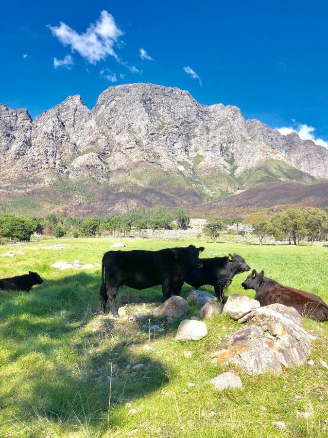 The Barn In Franschoek Casa de hóspedes Franschhoek Exterior foto